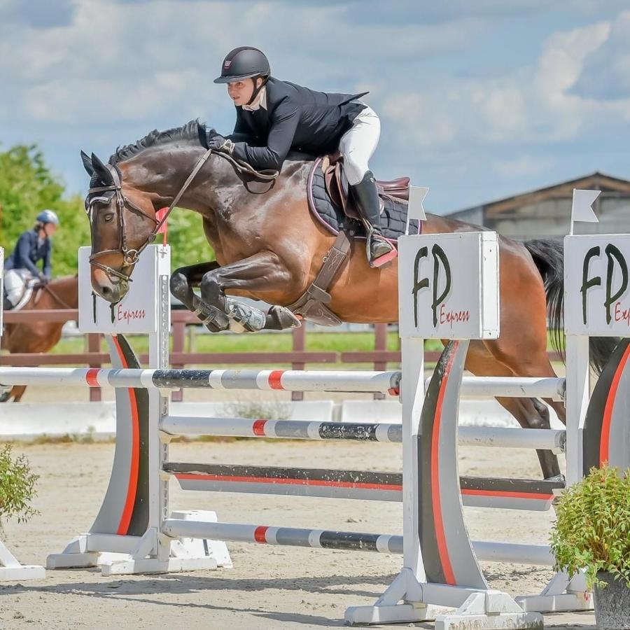 Gite Ecuries Vineuil Jump 6 Personnes Bagian luar foto