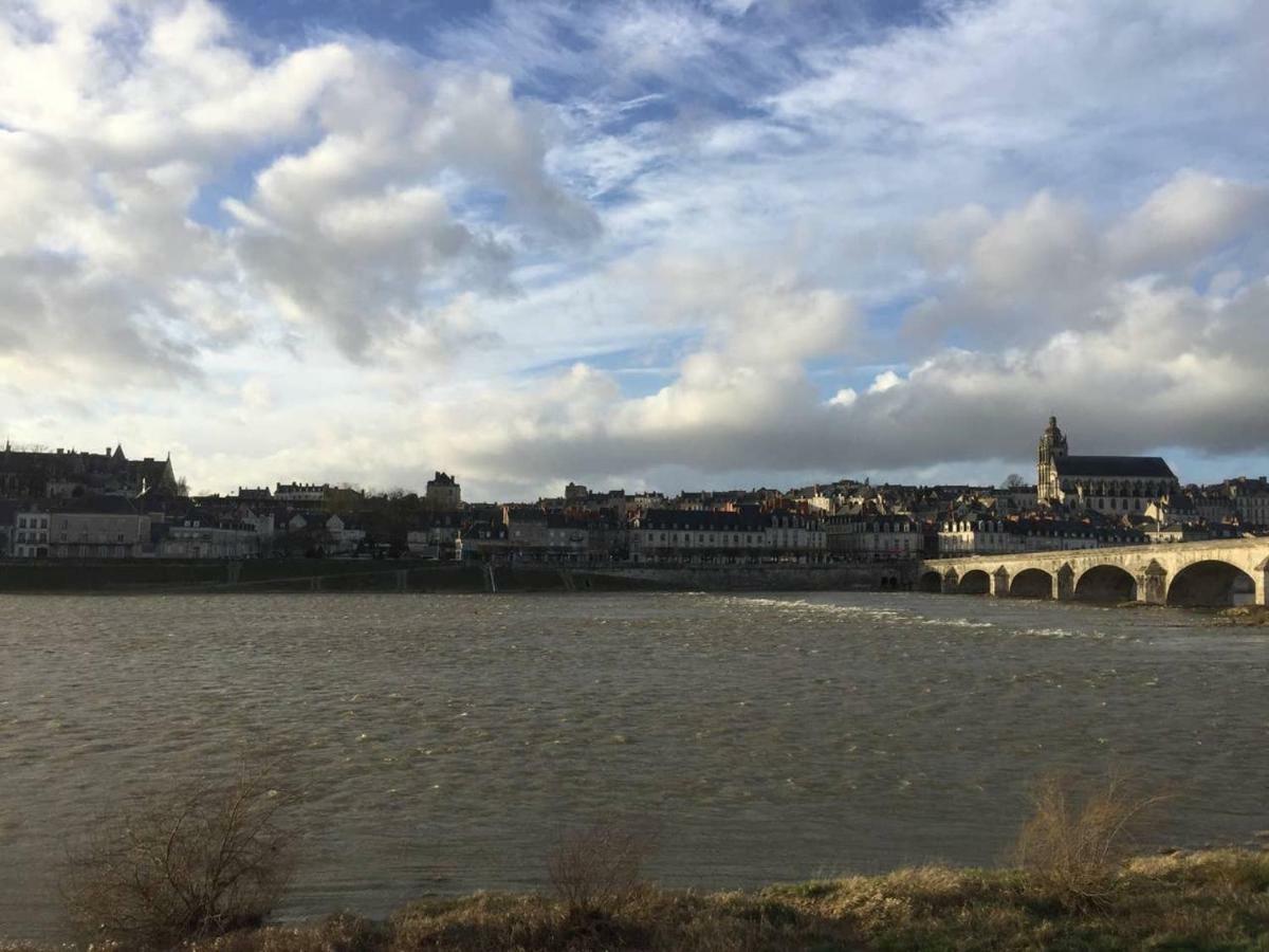 Gite Ecuries Vineuil Jump 6 Personnes Bagian luar foto